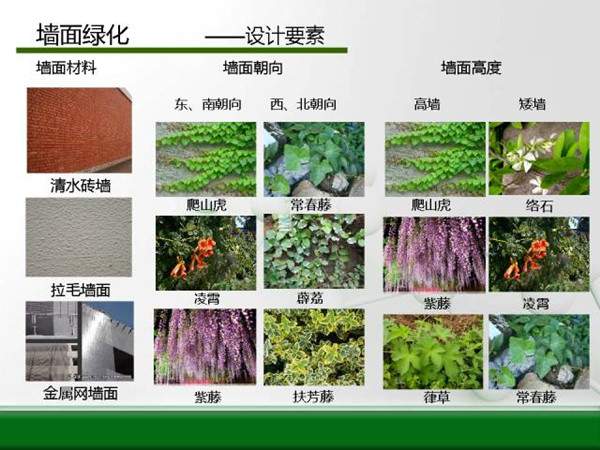 墻面綠化-設計要素